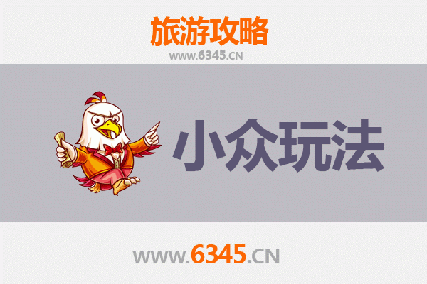 嘉兴嘉善小众玩法探秘：避开人潮，邂逅水乡静谧时光